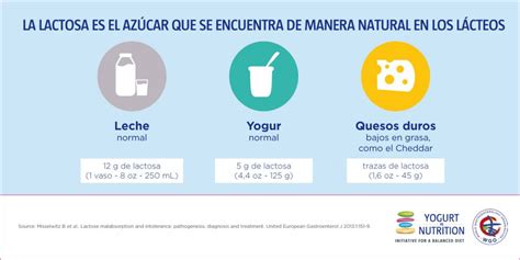 Qu Funci N Tiene La Lactosa Yogurt In Nutrition