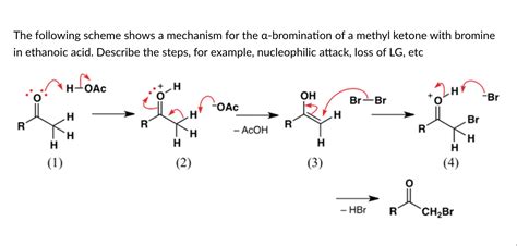 Solved The Following Scheme Shows A Mechanism For The