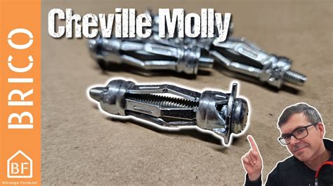 Tout Savoir Sur Les Chevilles Molly YouTube