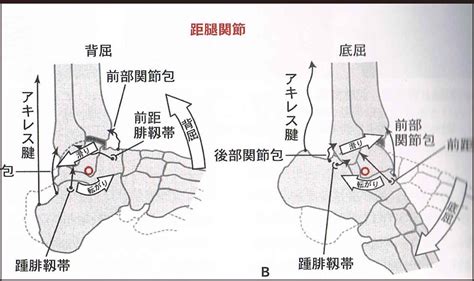 おくがわ整体院の施術の秘密に迫る①│西新宿のo脚矯正・パーソナルトレーニングを得意とするおくがわ整体院