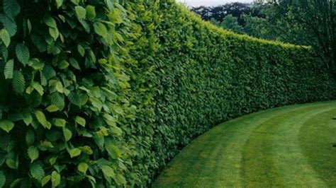 Fence Designs, Ideas and Styles - Best Types of Fences | Love Ambie