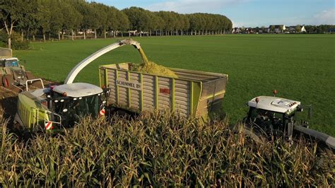 Holaras Loonbedrijf Schimmel Bv Aan Het Mais Hakselen Trekkerweb Nl