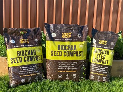 Biochar Seed Compost Carbon Gold