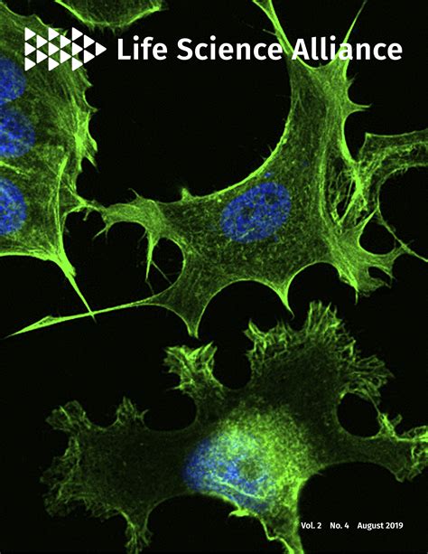 Reconstructing B-cell receptor sequences from short-read single-cell ...