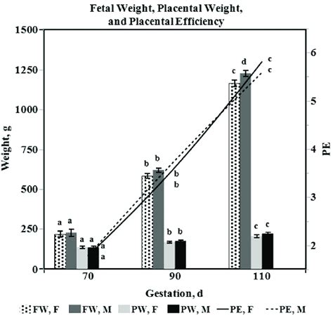 Least Square Means ± Se Of Fetal Weight Fw Placental Weight Pw