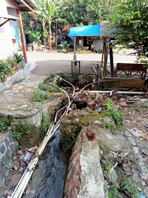 Masyarakat Keluhkan Irigasi Yang Sudah Lama Terbengkalai Dan Sekarang