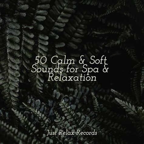 Play Calm Soft Sounds For Spa Relaxation By Spa Relaxation Spa