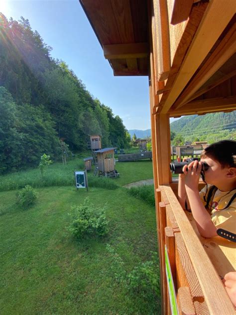 Volksschule Pachern Naturwelten Steiermark In Mixnitz