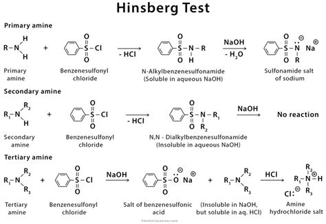 Amine Hcl Mechanism