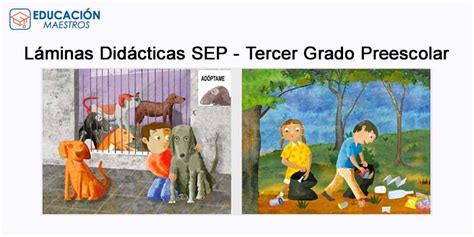 Láminas Didácticas 3 SEP Tercer Grado Preescolar