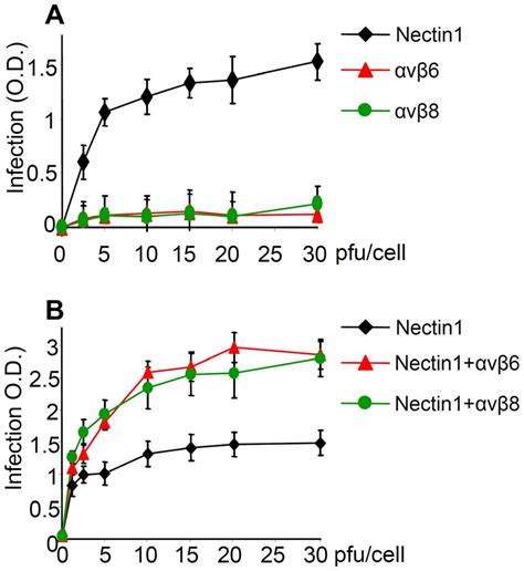 Avb6 And Avb8 Integrins Do Not Substitute For Nectin 1 Yet They