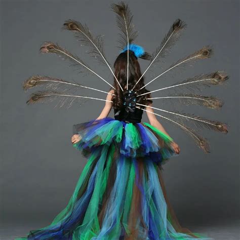 Elegant Peacock Feather Dresses Dresses Images 2022