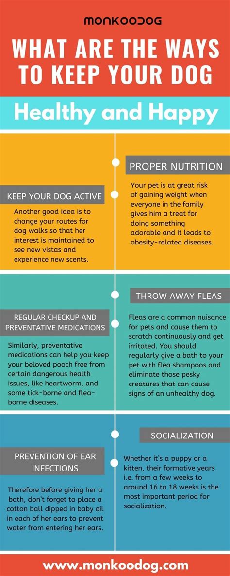 Pin On General Dog Care Tips Helpful Tips For Dogs