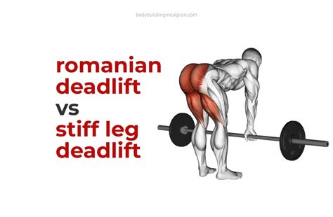 Romanian Deadlift Vs Stiff Leg Deadlift Differences Muscles Worked - Form example download