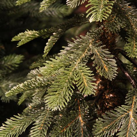 Kunstkerstboom Sierra H180 Cm Dennengroen Kunstkerstbomen En