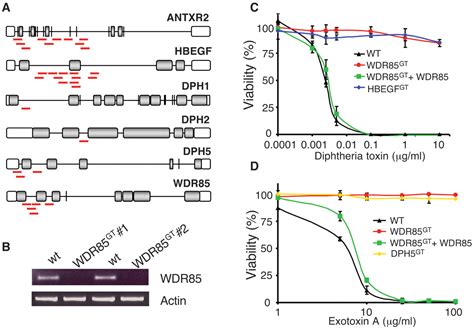 Haploid Genetic Screens In Human Cells Identify Host Factors Used By