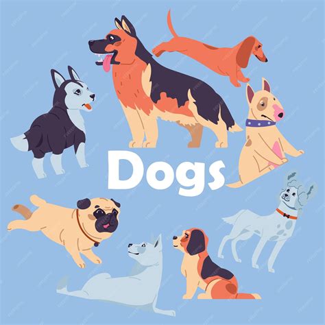 Premium Vector | Dog owners Canine purebred breeds Domestic animals Dachshund or beagle cute