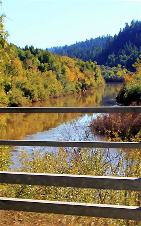 Driving By The River Photograph By Pauline Darrow Fine Art America