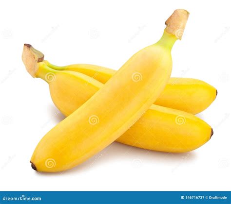 Baby banana stock image. Image of baby, snack, stack - 146716737