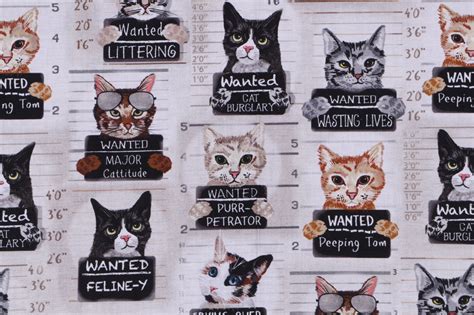 Gail Cadden Cat Mugshots Printed Cotton Craft Fabric In Beige For