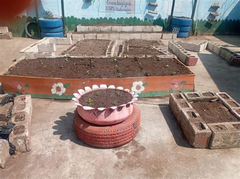 Estudiantes Aprender A Cultivar En Huertos Escolares Pedag Gicos