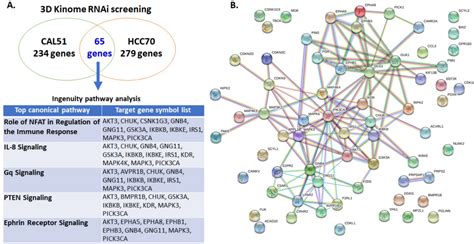 Figure From Onc And An Mek Inhibitor Trametinib Synergistically