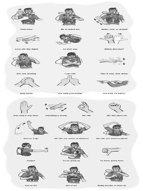 Common Scuba Hand Signals Short | PDF