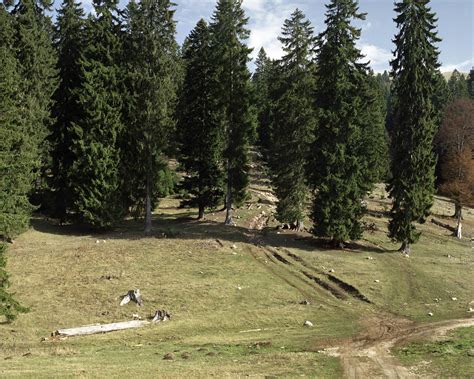 Minefields Bosnia