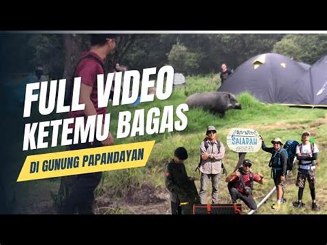 Full Video Ketemu Bagas Di Gunung Papandayan Garut Mr Ginko Youtube