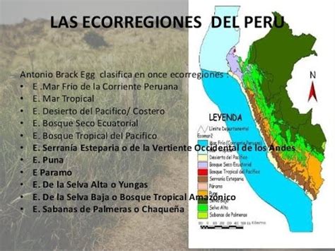 Mapa De Las Ecorregiones