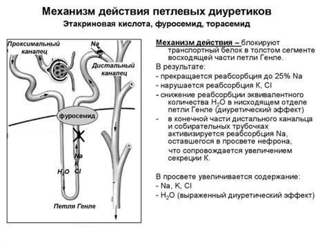 Норматенс: инструкция по применению, при каком давлении принимать ...
