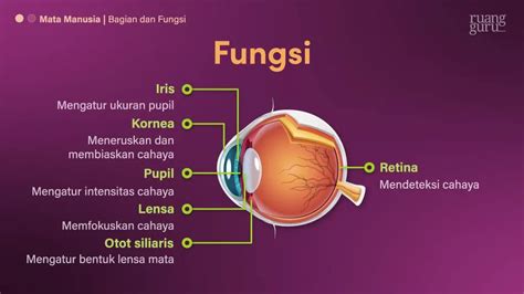 Video Belajar Mata IPA Untuk Kelas 9