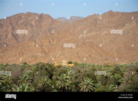 Oasis of Al Dhaid, Hajar Mountains, Sharjah, United Arab Emirates Stock Photo - Alamy