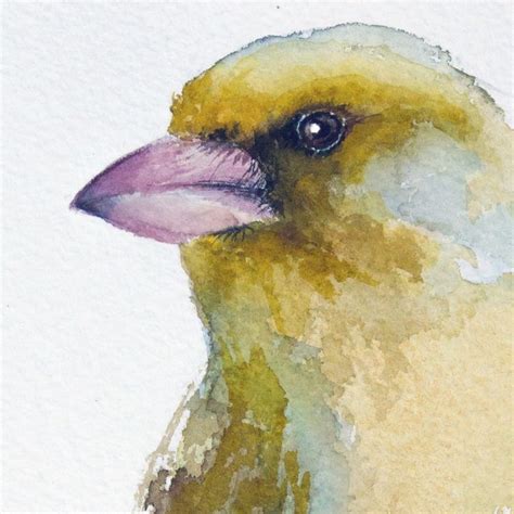 Greenfinch 2020 Watercolour By Andrzej Rabiega Bird Art Painting