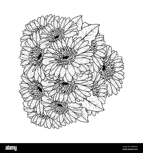 Gerber Daisy Coloring Pages