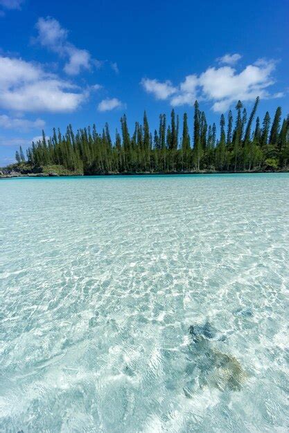 Premium Photo Beautiful Seascape Of Natural Swimming Pool Of Oro Bay