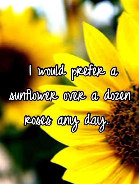 Cute Sunflower Quotes Shortquotescc