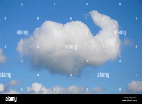 cloud - cloud formation - elephant Stock Photo - Alamy