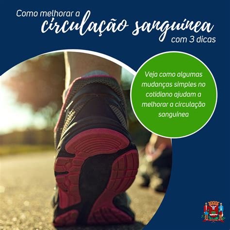 Como Melhorar A Circulação - Como melhorar a circulação sanguínea com 3 dicas - Amparo mais saude