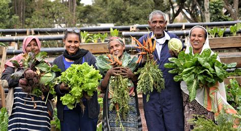 How An Urban Agriculture Project In Ethiopia Is Improving Lives And