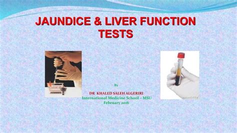 Jaundice Liver Function Tests Ppt