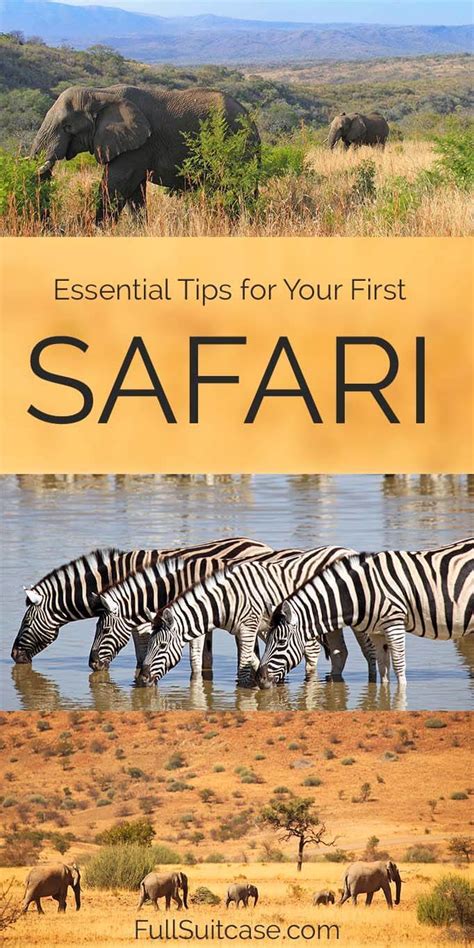 African Safari Tips And Things To Know Before Going On Safari In Africa