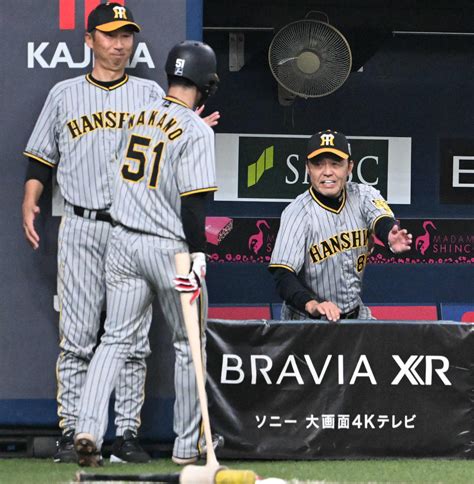 【阪神】岡田彰布監督「オリックス強かったです、本当にね」取って取られて日本一 一問一答 プロ野球写真ニュース 日刊スポーツ