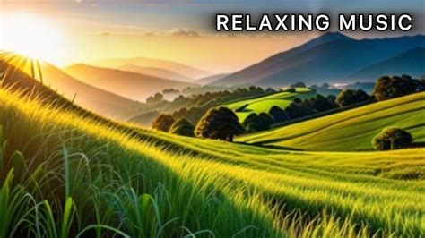 Beautiful Relaxing Music • Peaceful Piano Music Music Heals The Heart