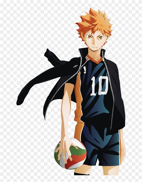 Shoyo Hinata Haikyuu Full Body