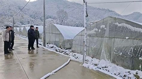 全力应对低温雨雪冰冻天气农业农村系统在行动