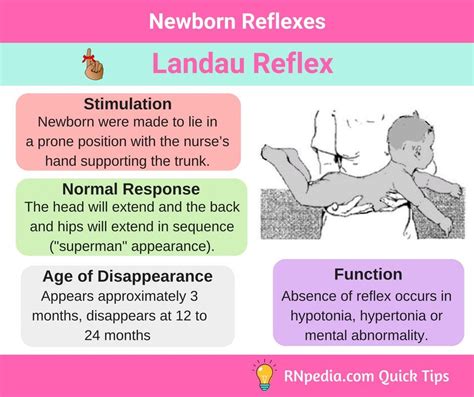 Newborn Reflexes Rnpedia Pediatric Nursing Quotes Nursing School