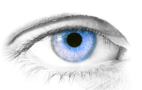 Gene Therapy for Macular Degeneration - A Reality?