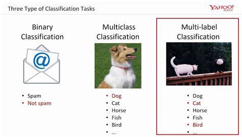 Medical Multi Label Classification With Pytorch Lightning