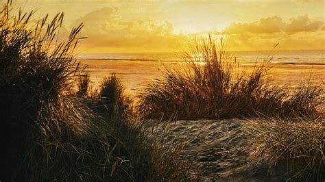 Naked And Afraid TV Series 2013 Backdrops The Movie Database TMDB